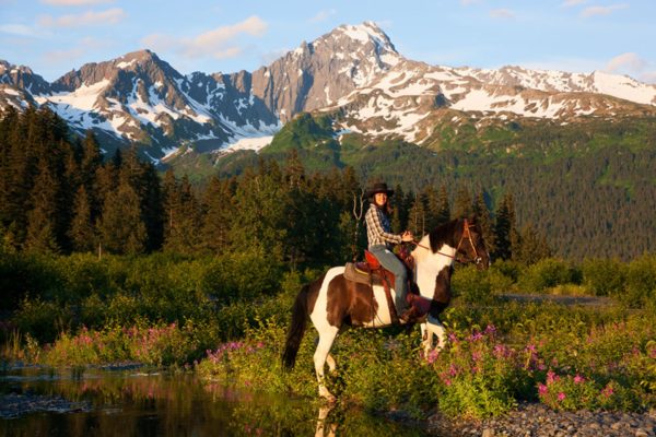 Seward Horseback Trail Rides | Bardys Trail Rides