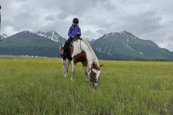 Seward Horseback Trail Rides | Bardys Trail Rides