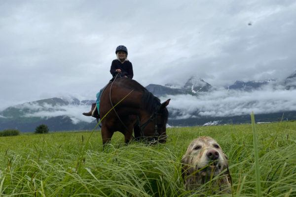 Seward Horseback Trail Rides | Bardys Trail Rides