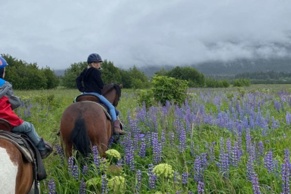 Seward Horseback Trail Rides | Bardys Trail Rides