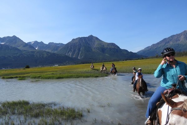 Seward Horseback Trail Rides | Bardys Trail Rides