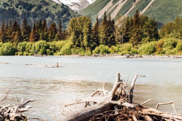 Seward Horseback Trail Rides | Bardys Trail Rides