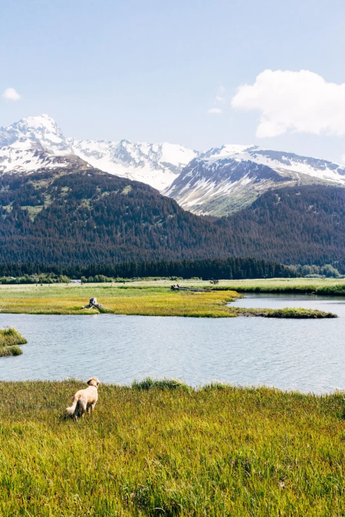 Seward Horseback Trail Rides | Bardys Trail Rides