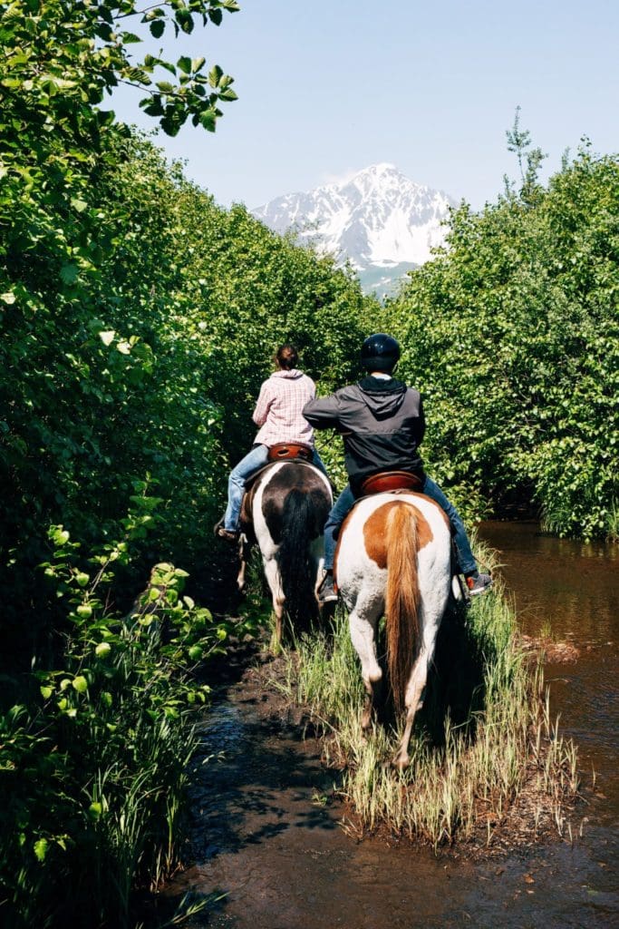 This image is by Bardys Trail Rides.